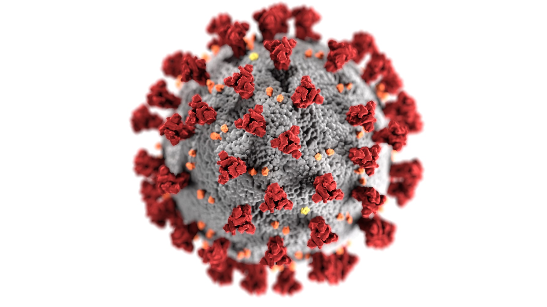 Nouveau Coronavirus Maladie COVID 19 Virus SARS CoV 2
