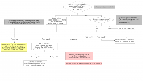 Flowchart cas asymptomatiques