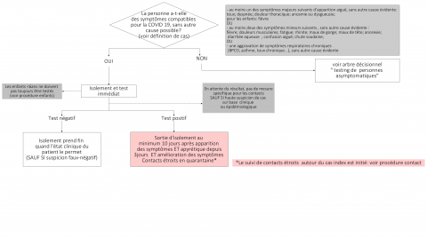 Flowchart cas symptomatiques